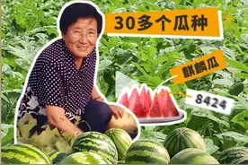 餐桌75载变迁：从“开国第一宴”到今日盛宴之旅图片