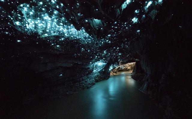 反季去这里,景色封神