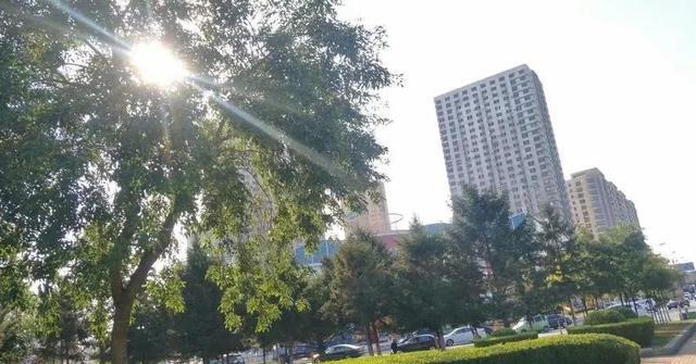 我是海南人，去了趟辽宁沈阳，忍不住想说说，沈阳给我的5个印象?