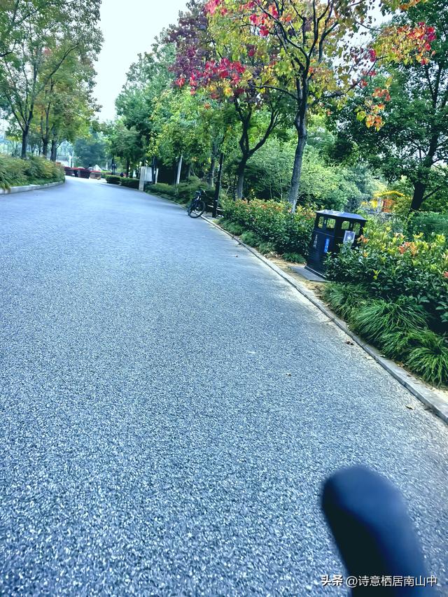 东湖绿道东西大环线五十公里畅快骑行！