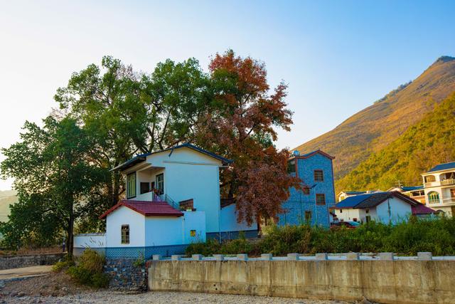 又是一年秋风起，马岭红叶正当时