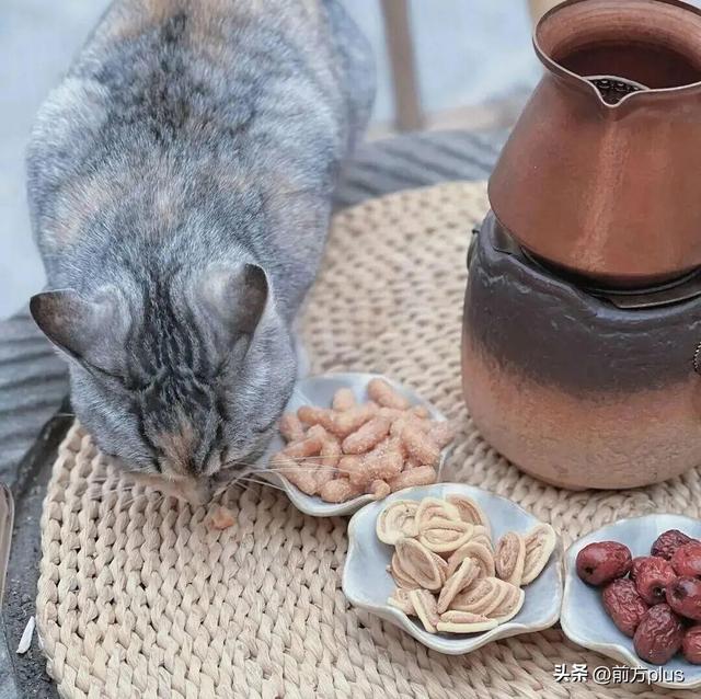半价游西安！冬日景区福利上线