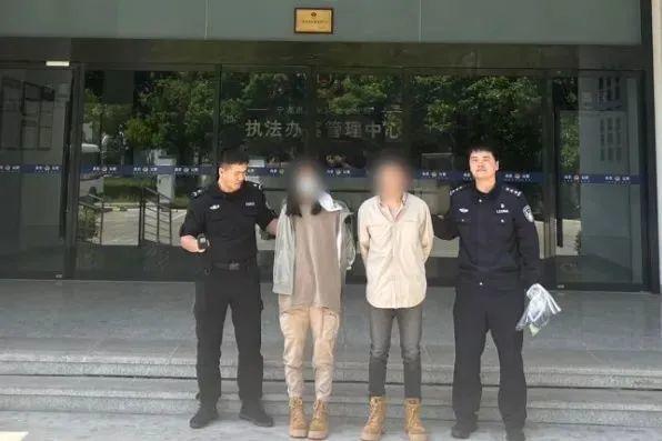 野外仅存600多只！浙江4人徒手抓26只，价值10多万