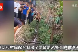 2米多长毒蛇咬死村民！自然出现还是盲目放生？图片