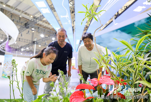 聚焦第五届中蒙博览会丨内蒙古形象馆解码“北疆新魅力”