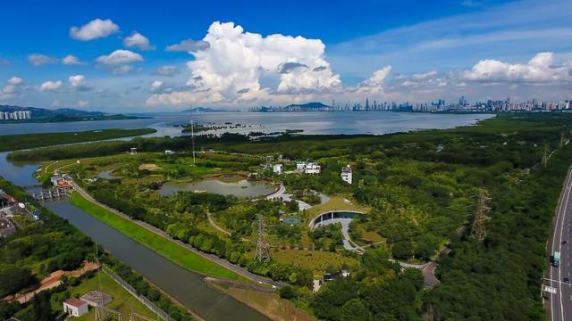 仅限2天！福田红树林公园邀您共赴！