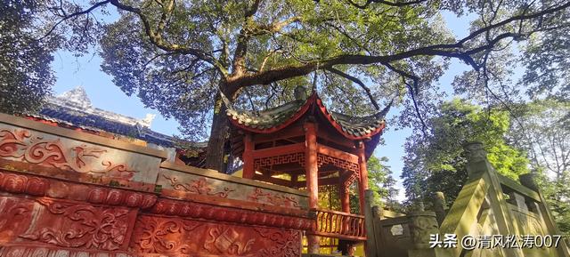 探寻宁远大将军岳钟琪诗里的金堂三学寺
