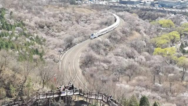 诗·心志 | 居庸关纪行——1937年的烽火记忆