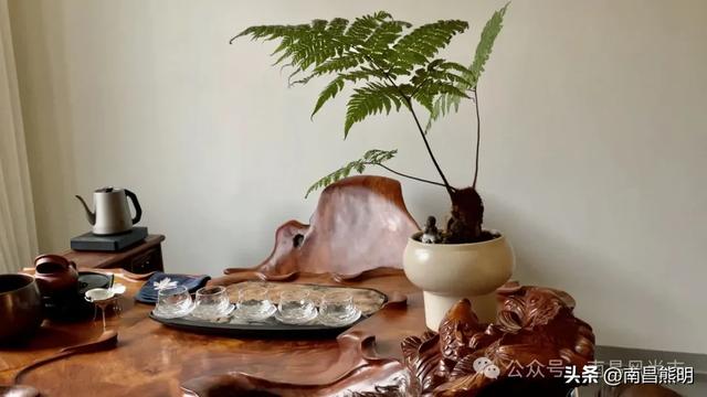 湾里揽胜：蟠龙峰下茶养云