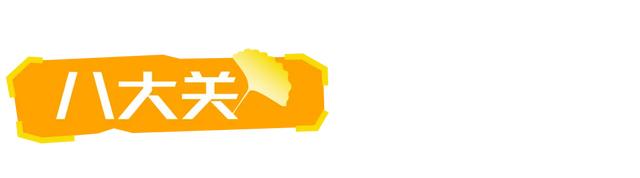 山东：时至初冬，银杏正当时