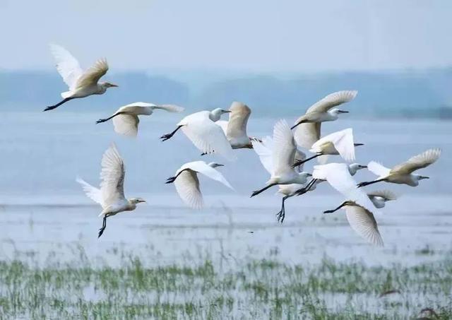 惠州进全球榜单！快来看看吧~