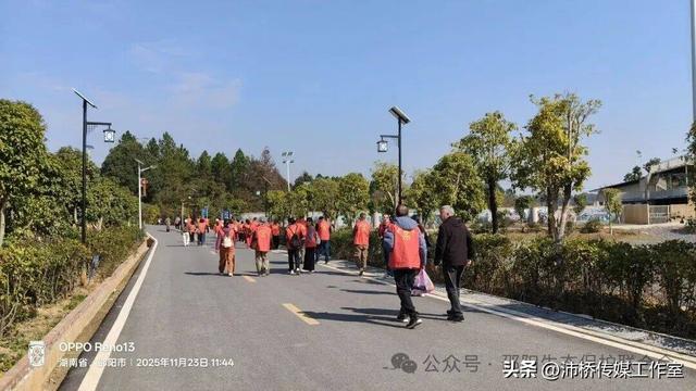 最美水杉林里志愿红