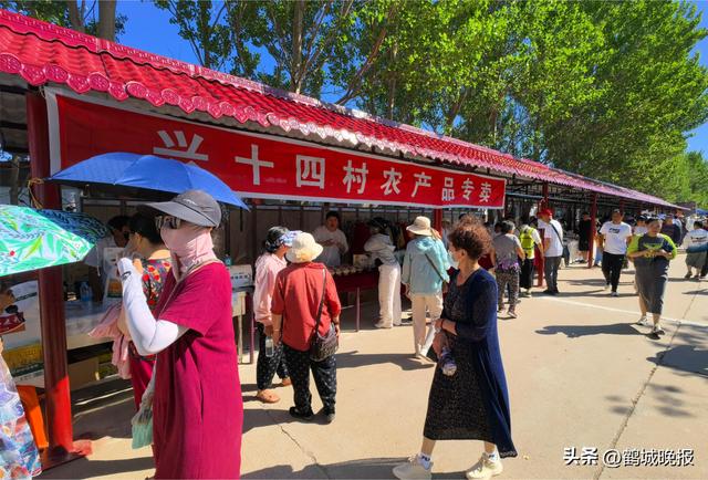 甘南县兴十四村第三届荷花节盛大开幕