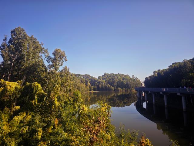 龙华新“骑”点，奔向2026骑行随拍1129