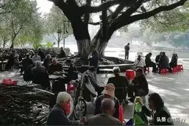 老头乐”带来的精神慰藉，五元一次的陪伴能否填补心灵的空白？图片
