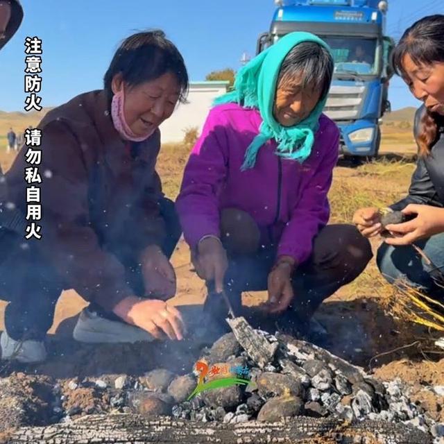 国庆长假土豆没捡够？内蒙古太仆寺旗文旅局发布4条“捡土豆”路线