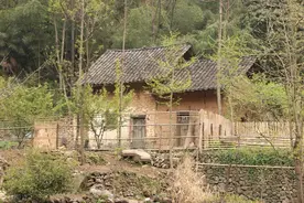 农村老话：坟前三留有后患，床前挂四灾祸来，分别指的都是什么？图片