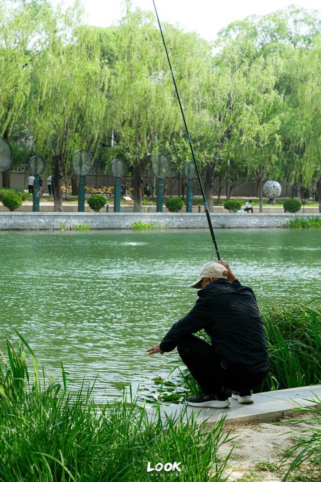 “亮马河,在北京会去一万次的地方”