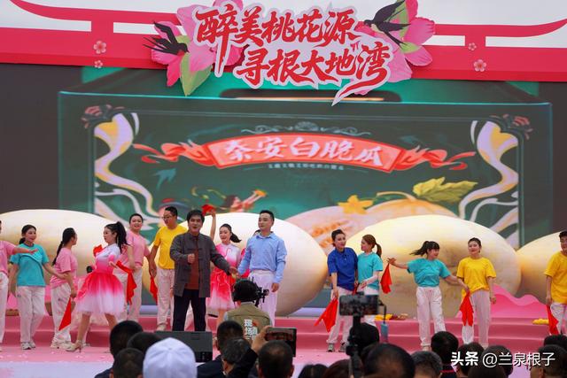 醉美桃花源启幕 秦安共赴春日盛宴