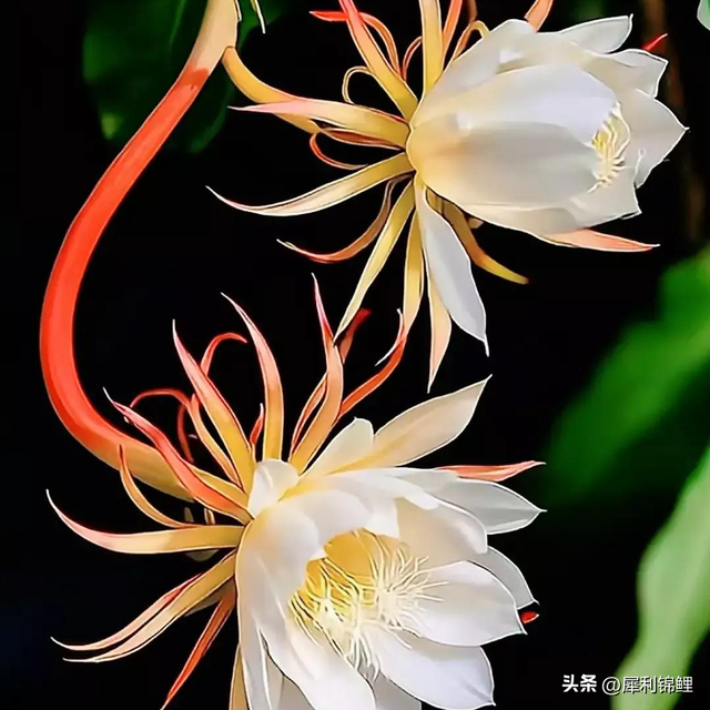 公公守住这3条铁律，儿媳自然尊重你！多少家庭矛盾都从越界开始