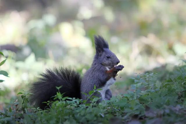 沈阳这些地方太美了!赏秋倒计时,错过等一年!