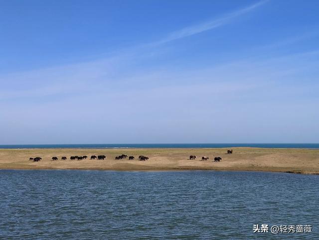 夏都西宁，最值得游玩的景点推荐