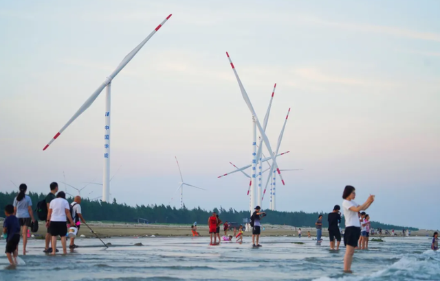 深入大海鲜人知！湛江这些隐秘的“棱角”你见过几个？