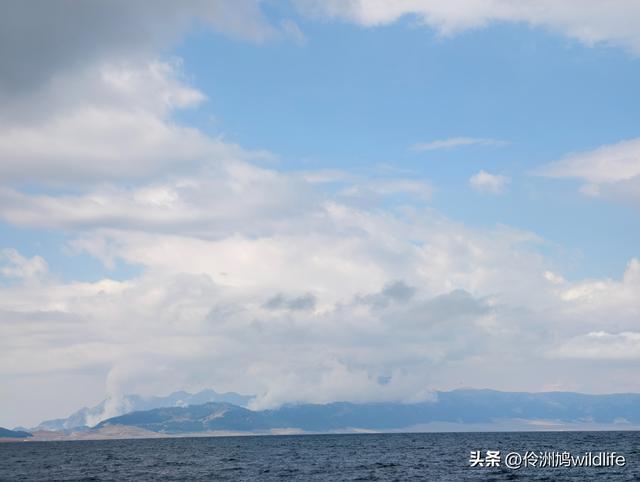 新疆明珠——赛里木湖