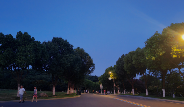 空调续命？也可夜游仙林