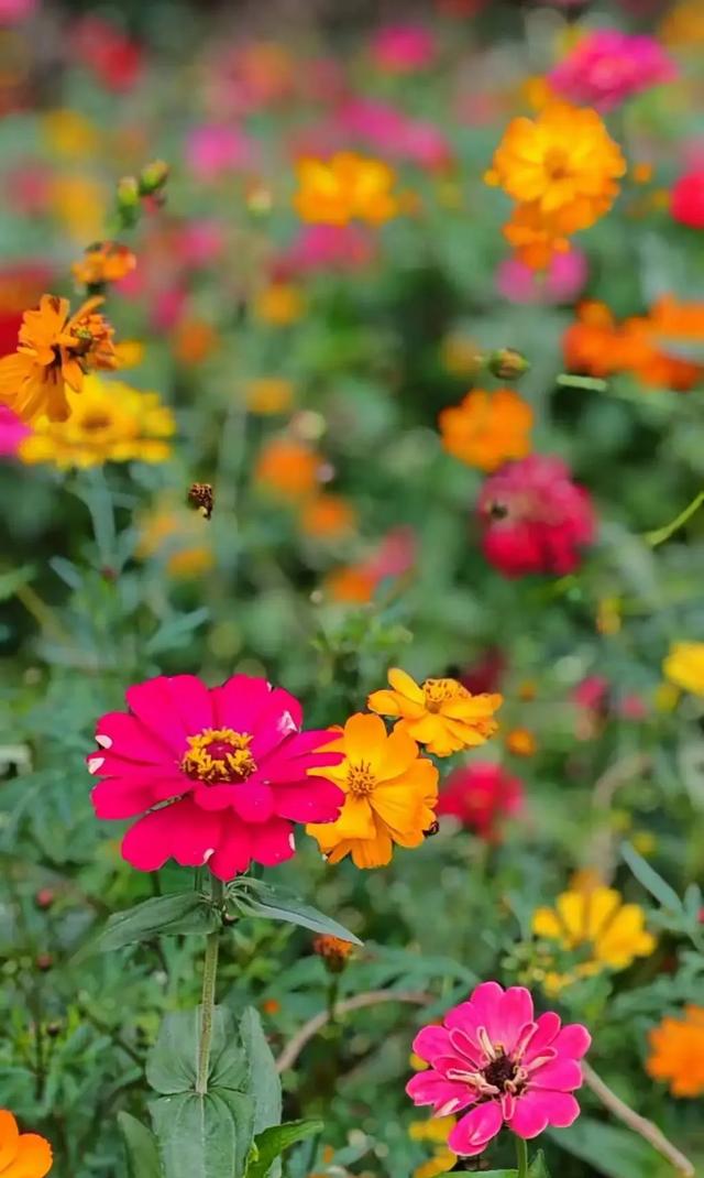 浙南山水：神仙居云端漫步，古堰画乡烟火气息，缙云仙都诗意之旅