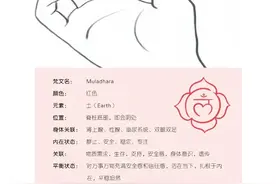 第一脉轮﹣﹣海底轮图片