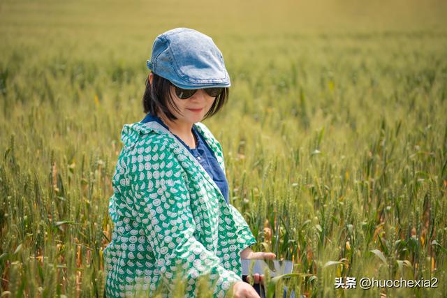 隔壁的城市走一走——镇江丁岗五七林场