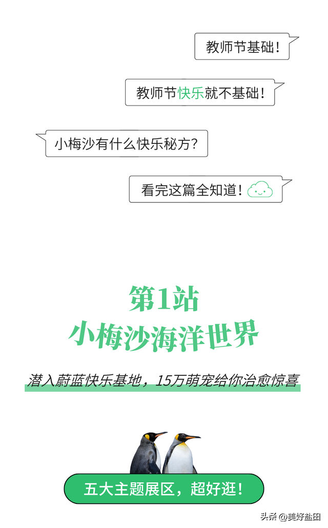 连续七天，教师免票！