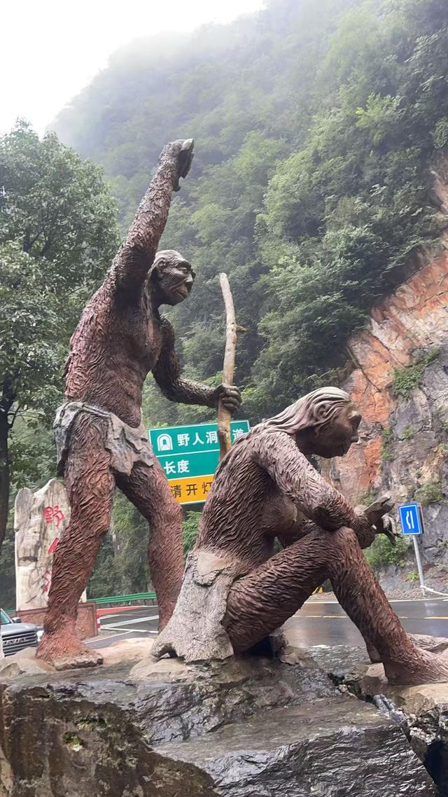 我是南京人，在神农架66天，不吹不黑：大九湖人是真的牛！