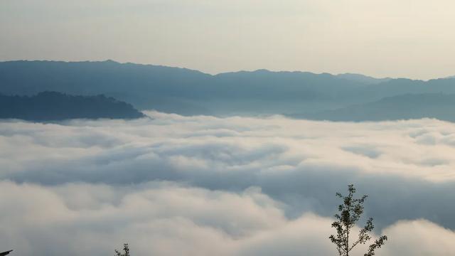 【生态绿春】云海鎏金处,群山载梦行