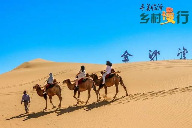 【寻美临泽·乡村漫行】金沙湾：大漠行吟中的星辰与欢歌#厚道甘肃#