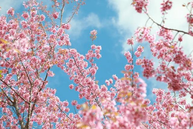 普洱，不止四季！🥰