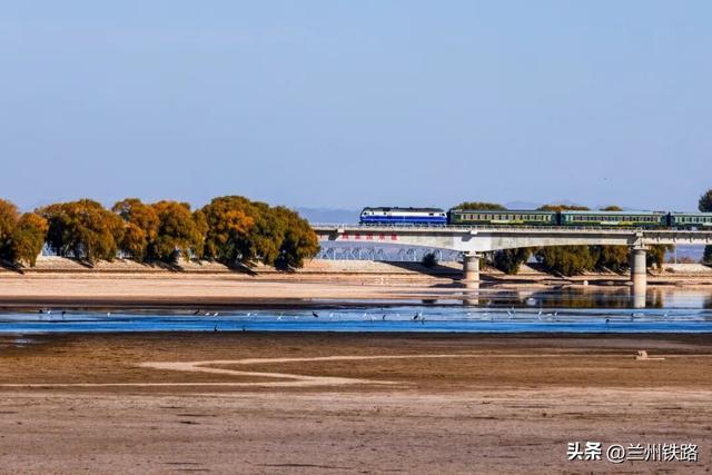 #“我的铁路风景”故事汇#这个火车站边上的胡杨林，景色绝美！​