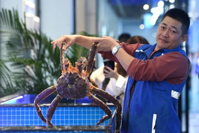 汉交会宝藏玩法大公开！这10个地方让你刷爆朋友圈！