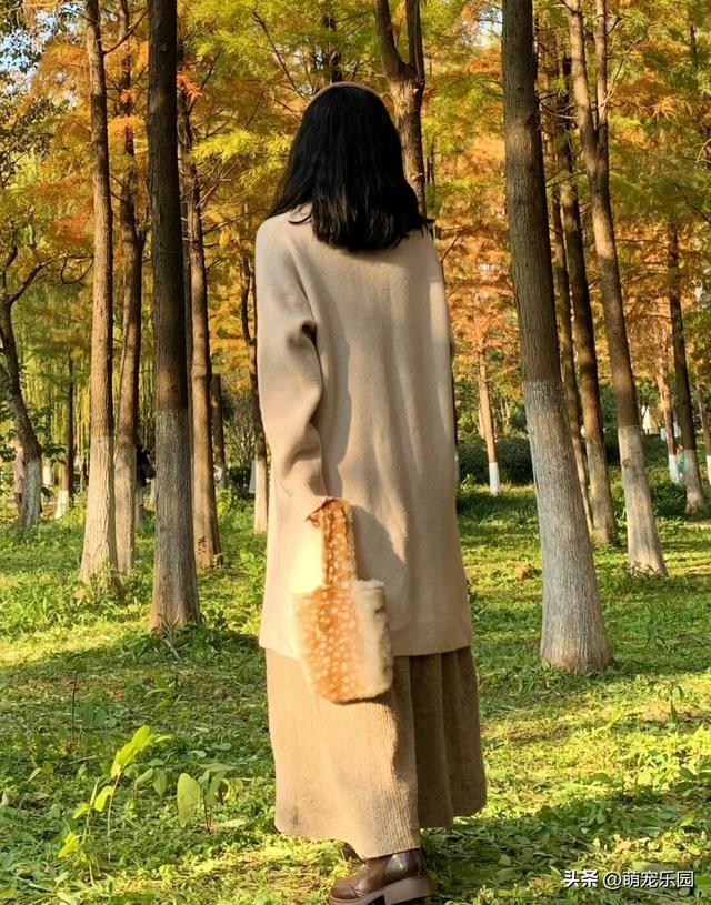 大热天穿毛衣去鄞州公园，水杉林里拍出惊喜美照