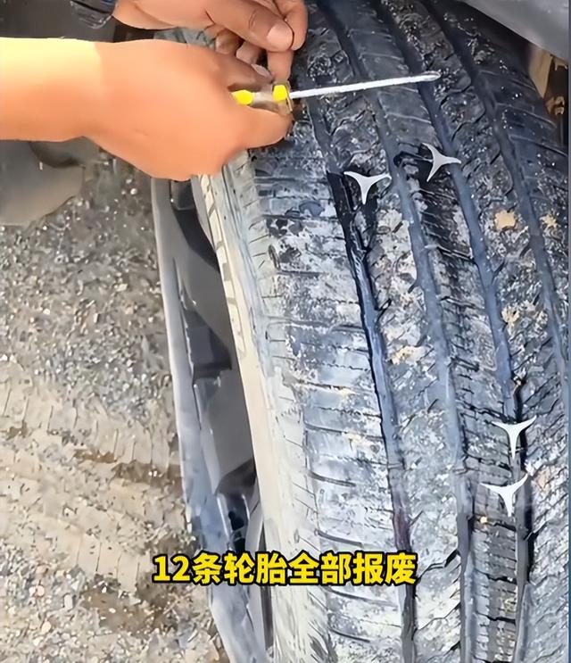 青海游客骑行被暴打后续，牧民凶神恶煞，拦路辱骂扇脸，原因曝光