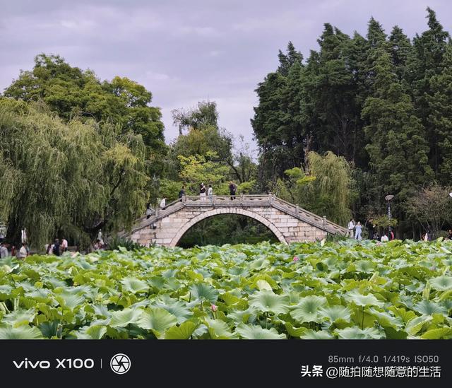 雨游大观园