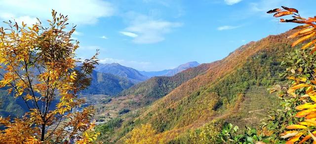 遇见金秋!来汉中,邂逅一场秋日山野浪漫之约!