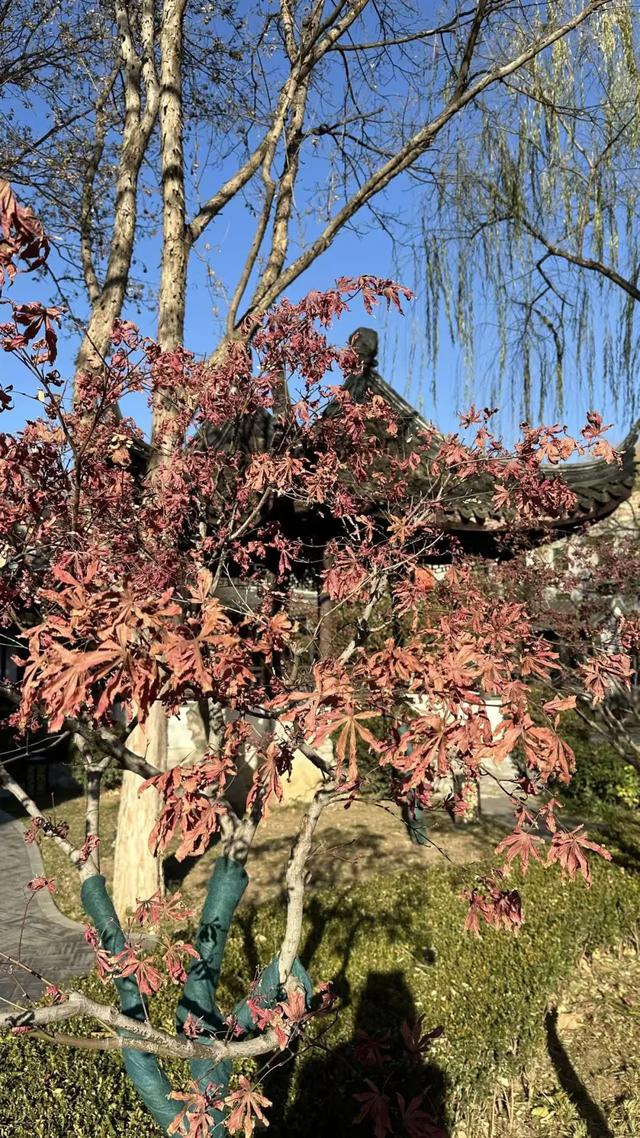 来京20多年，终于走进了一直不敢进的友谊宾馆......