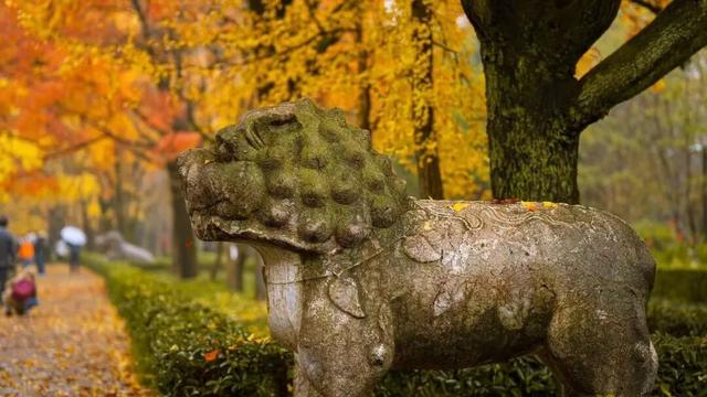 高铁1h！比西安秀美！这座千年古都秋色绝了！高光仅20天！