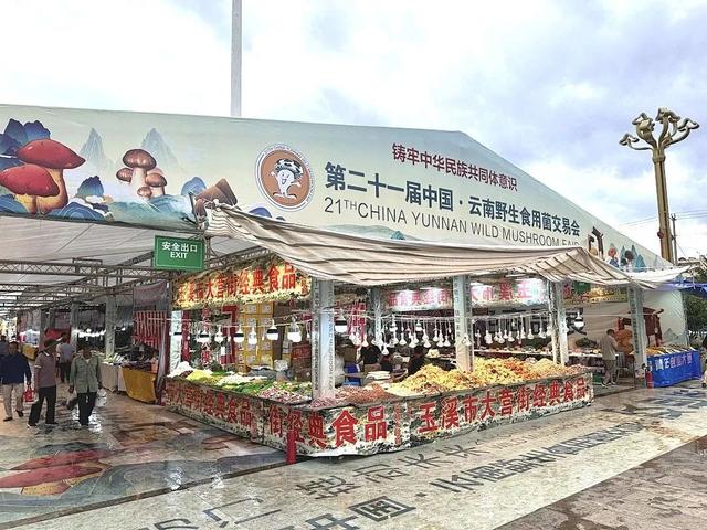 走，这个周末坐公交去易门吃菌啰~