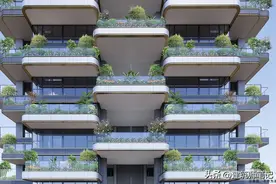 第四代住宅：保利天珺，187㎡创新户型分享图片