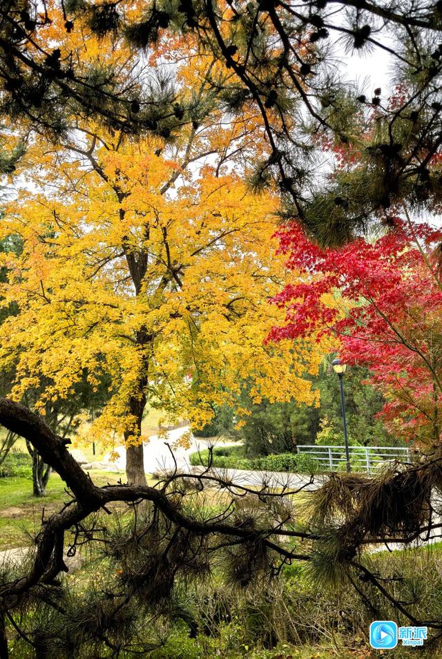 浞景无边，快乐亦无边~
