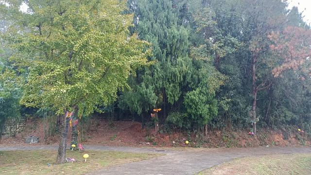 两性关系，50岁后的女人不怕你占便宜，就怕你做到这一步