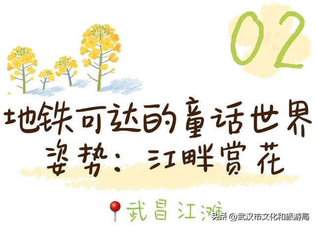 武汉春天最壮观的花海，全城盛开！